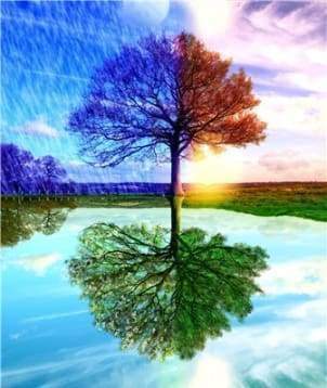 Diamond Painting - Albero Delle 4 Stagioni Diamond Painting kit diamond painting
