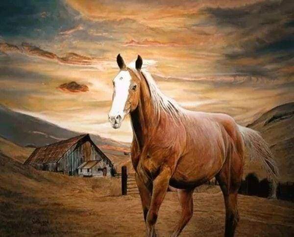 Diamond Painting - Cavallo Al Tramonto Diamond Painting