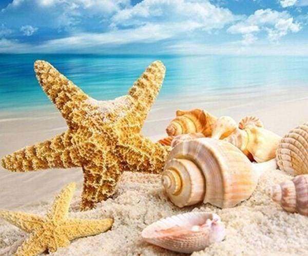 Diamond Painting - Conchiglie E Stelle Marine Diamond Painting kit diamond painting