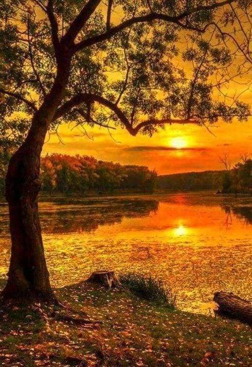 Diamond Painting - Lago Al Tramonto Diamond Painting