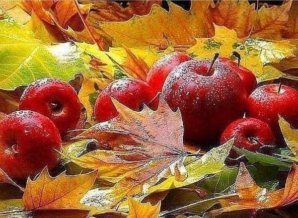 Diamond Painting - Mele In Autunno Diamond Painting kit diamond painting