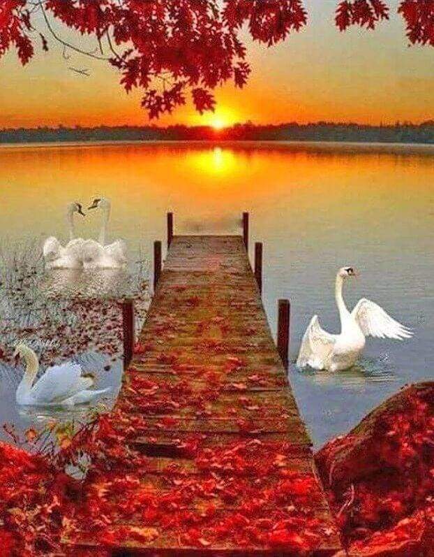 Diamond Painting - Piattaforma In Legno E Tramonto Diamond Painting