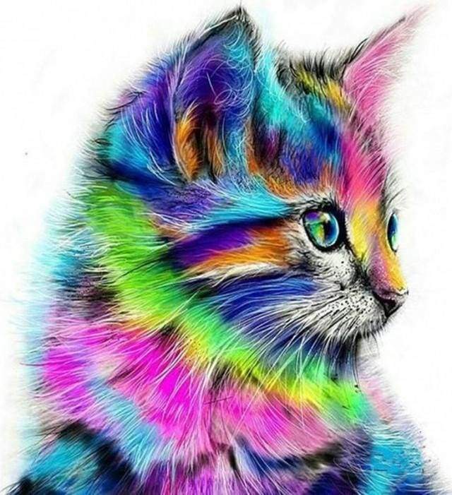Gattino Colorato Diamond Painting