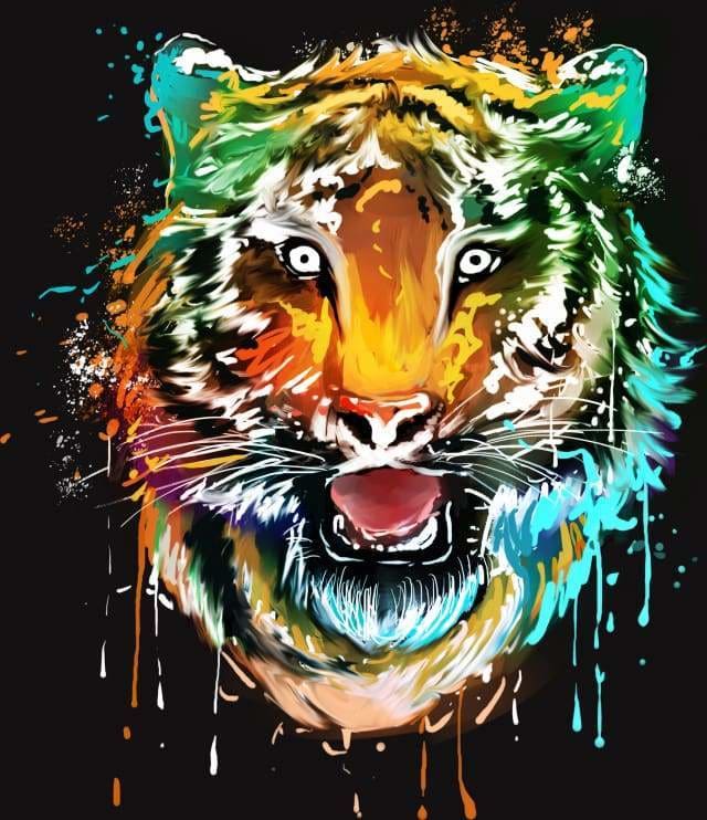 Muso di tigre colorato Diamond Painting kit diamond painting