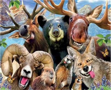 Animali Diamond Painting | Seos Shop ®