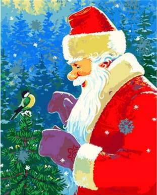 Babbo Natale Con Uccellino Diamond Painting | Seos Shop ®