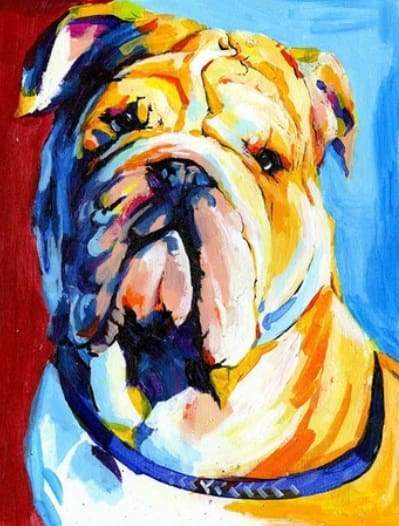 Bulldog Diamond Painting | Seos Shop ®