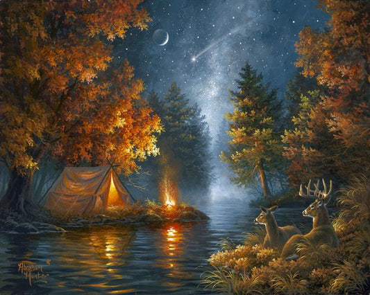 Camping sotto una notte stellata Diamond Painting | Seos Shop ®