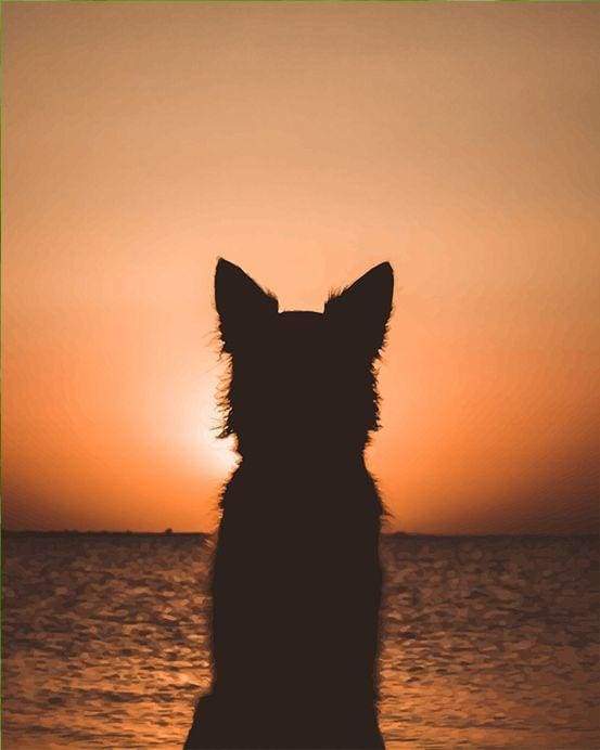 Cane E Tramonto Diamond Painting