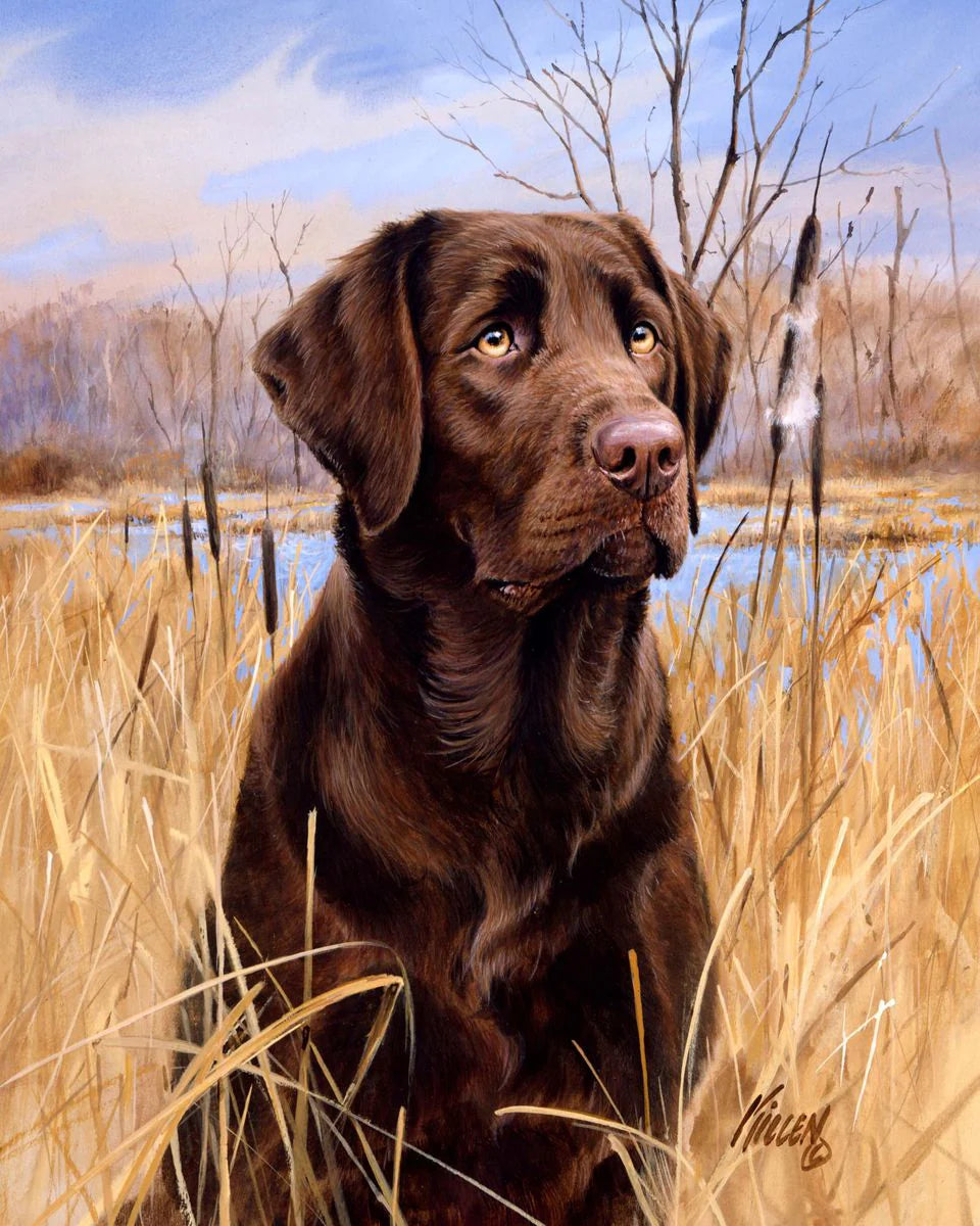 Cane Labrador Diamond Painting | Seos Shop ®