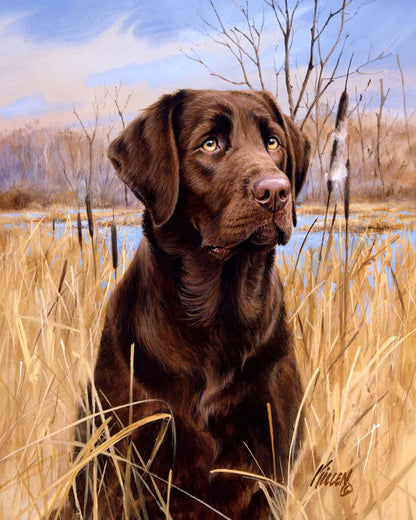 Cane Labrador Diamond Painting | Seos Shop ®