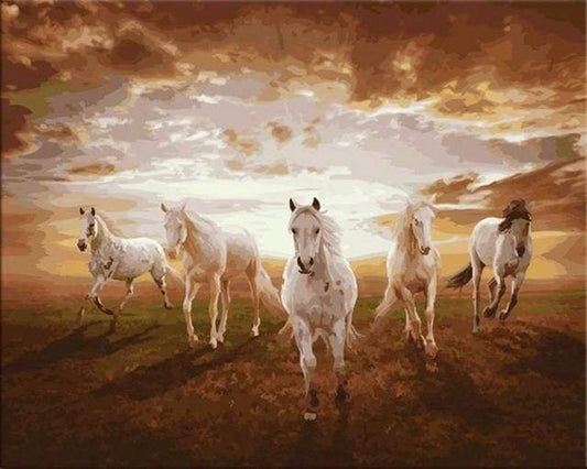Cavalli Bianchi Al Galoppo Diamond Painting