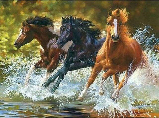 Cavalli Della Camargue Diamond Painting