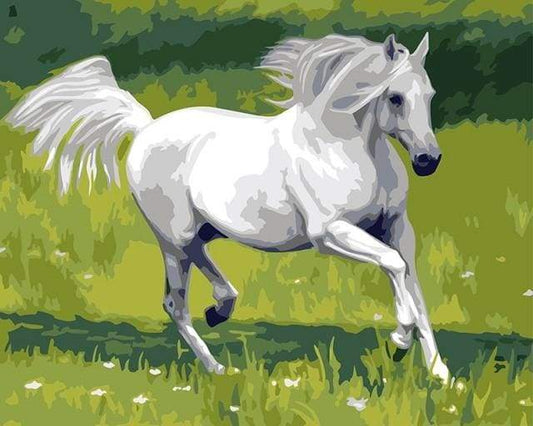 Cavallo Bianco Nel Campo Diamond Painting