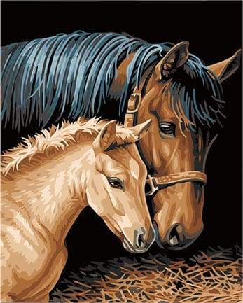 Cavallo E Puledro Diamond Painting