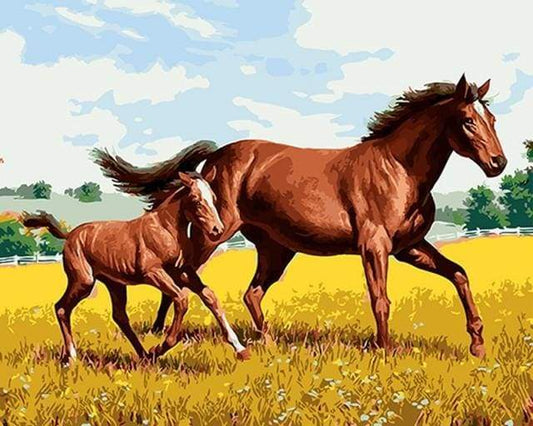 Cavallo E Puledro Nel Campo Diamond Painting