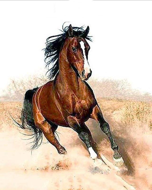 Cavallo In Pieno Galoppo Diamond Painting