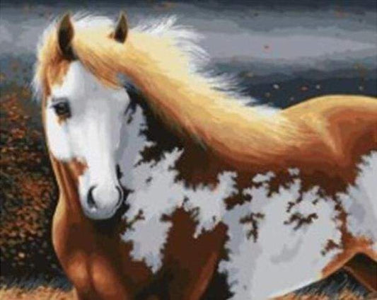 Cavallo Magico Diamond Painting
