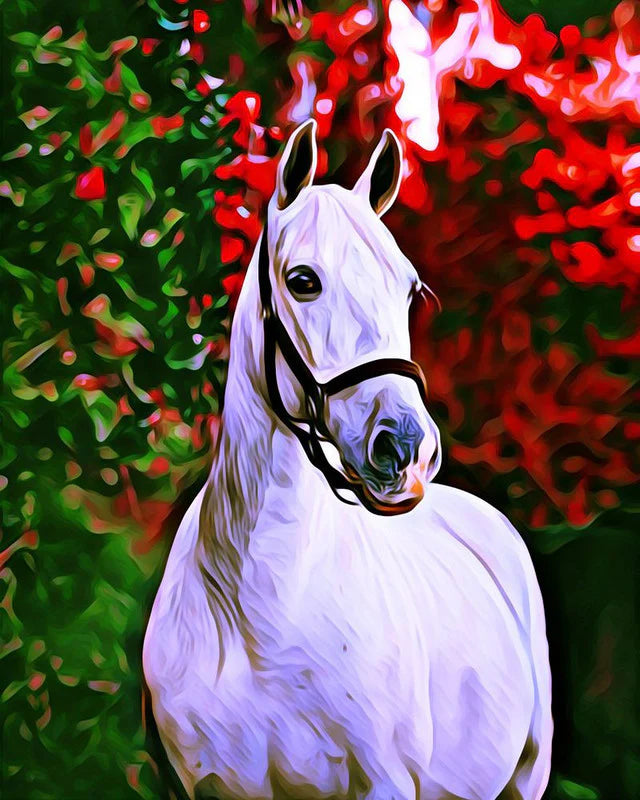 Cavallo su sfondo colorato Diamond Painting | Seos Shop ®
