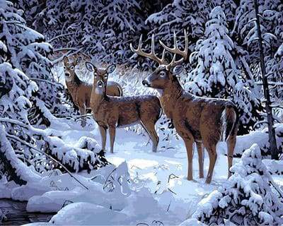 Cervo Nella Neve Diamond Painting