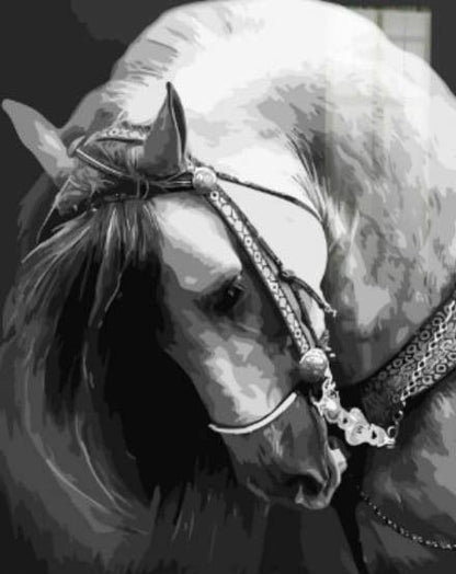 Collo Di Cavallo Diamond Painting