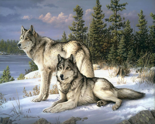 Coppia Di Lupi Diamond Painting