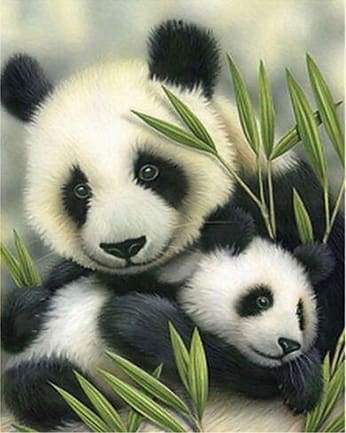 Coppia Di Panda Diamond Painting