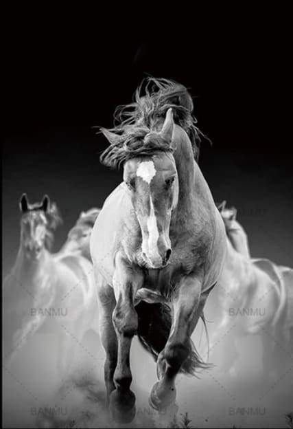 Corsa Di Cavalli Diamond Painting