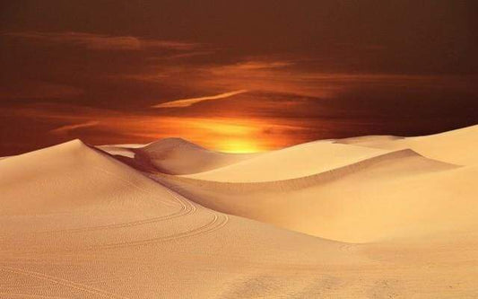 Crepuscolo Nel Deserto Diamond Painting