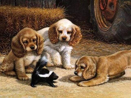 Cuccioli Che Giocano Diamond Painting