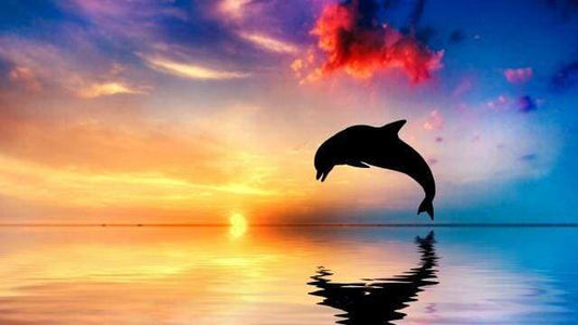 Delfino Al Tramonto Diamond Painting