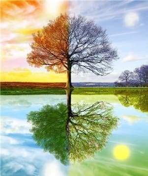 Diamond Painting - Albero Delle 4 Stagioni 2 Diamond Painting