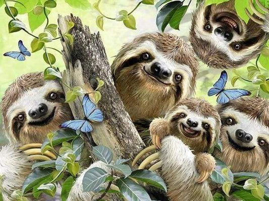 Diamond Painting - Animale Pigro Diamond Painting