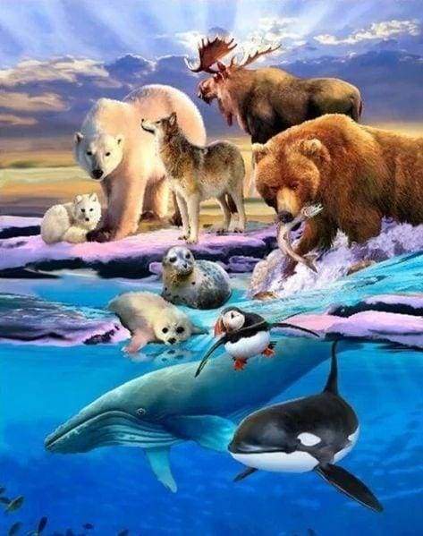 Diamond Painting - Animali Artici Diamond Painting