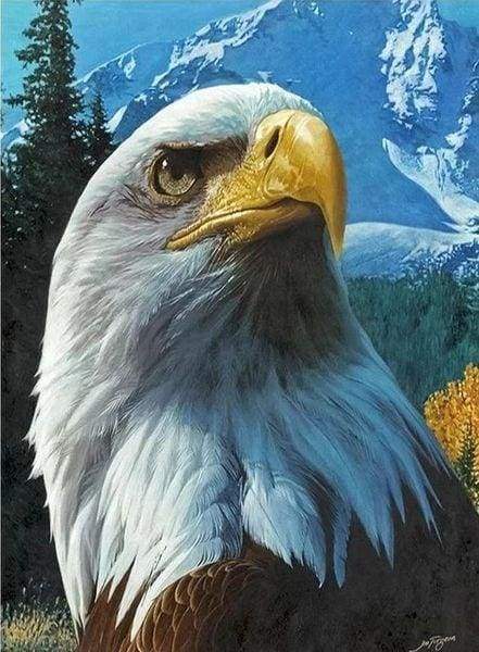 Diamond Painting - Aquila E Montagna Diamond Painting