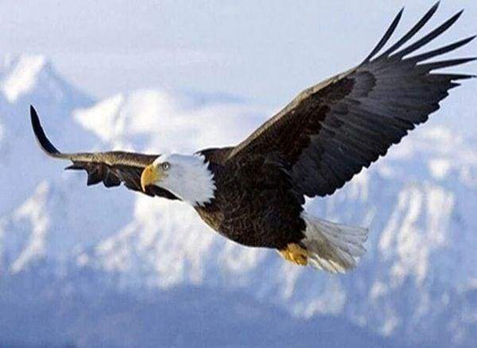 Diamond Painting - Aquila In Volo Diamond Painting
