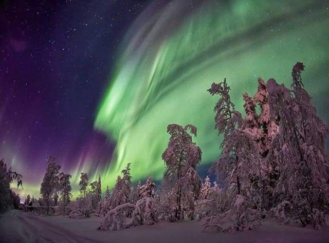 Diamond Painting - Aurora Boreale E Alberi Diamond Painting | Seos Shop ®