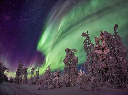 Diamond Painting - Aurora Boreale E Alberi Diamond Painting | Seos Shop ®