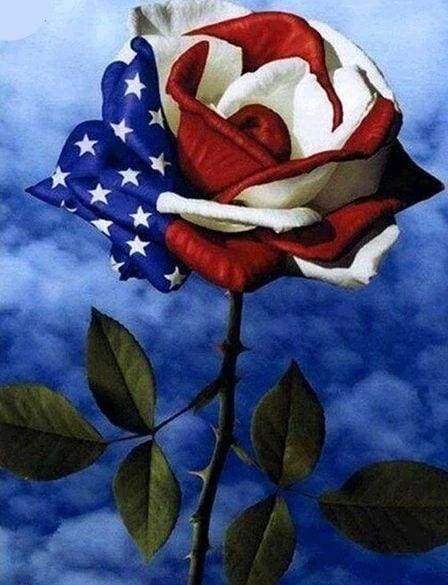 Diamond Painting - Bandiera Americana Rosa Diamond Painting