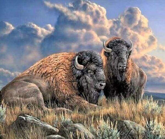 Diamond Painting - Bisonte Diamond Painting