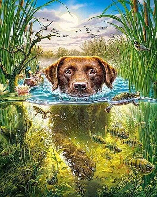 Diamond Painting - Cane Nel Torrente Diamond Painting