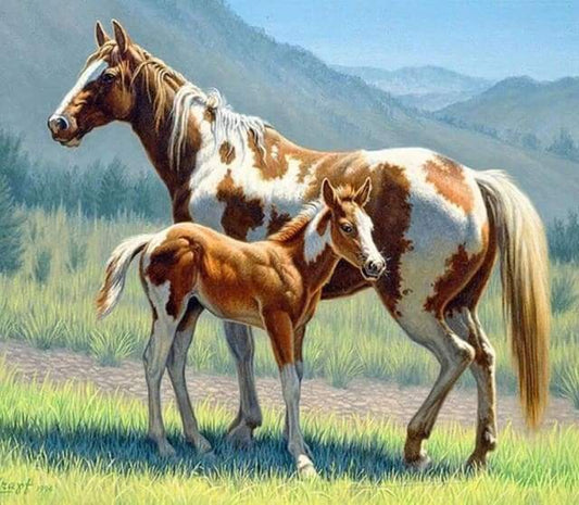 Diamond Painting - Cavallo E Puledro Diamond Painting