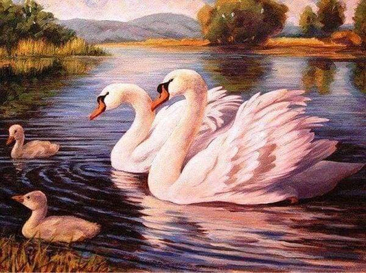 Diamond Painting - Cigni Diamond Painting