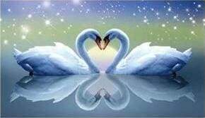 Diamond Painting - Cigni E Cuore Diamond Painting