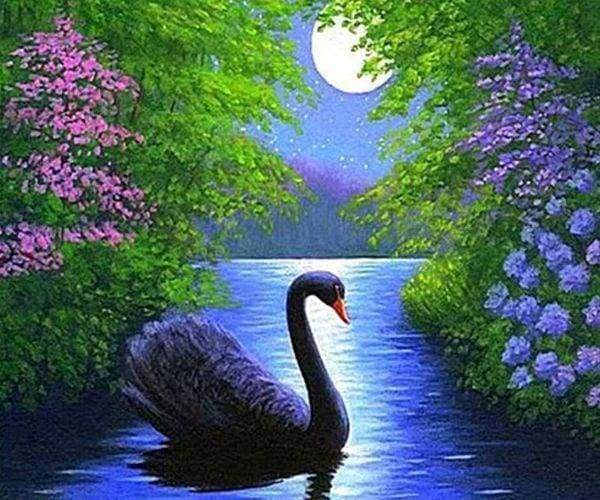 Diamond Painting - Cigno Diamond Painting