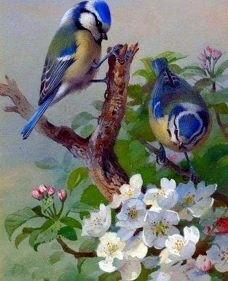 Diamond Painting - Cinciallegre Sul Ramo Diamond Painting