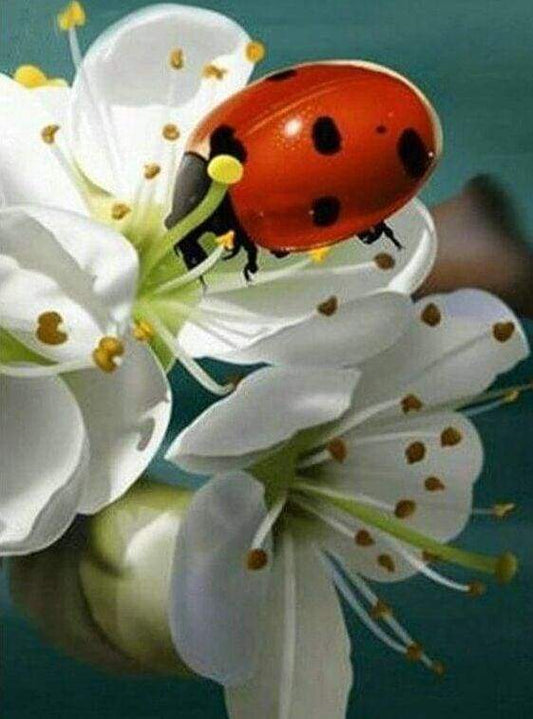 Diamond Painting - Coccinella E Fiori Diamond Painting