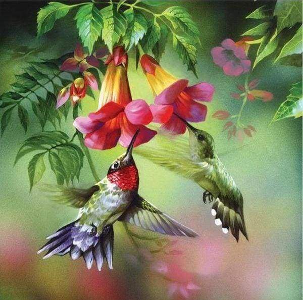 Diamond Painting - Colibrì Diamond Painting