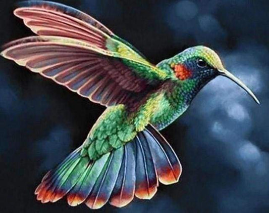 Diamond Painting - Colibrì Nella Notte Diamond Painting