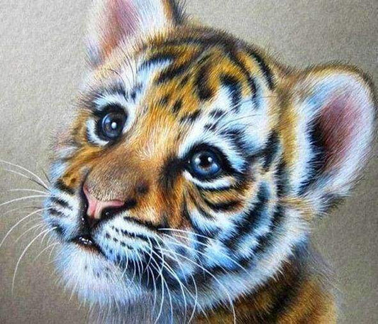 Diamond Painting - Cucciolo Di Tigre Diamond Painting